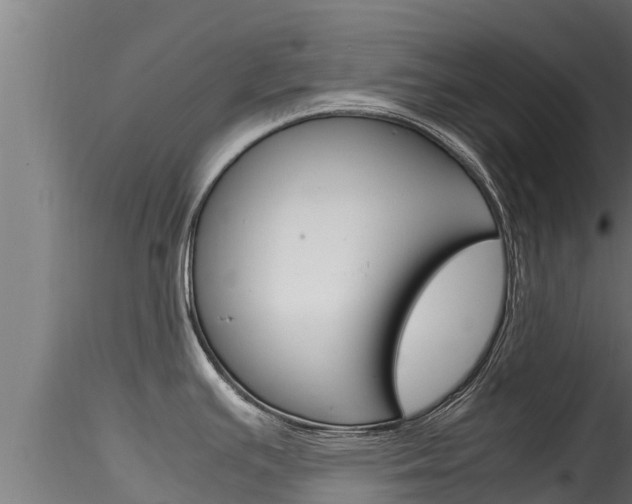 X0000116271391200911301006
