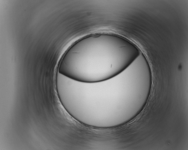 X0000116271392200911301006