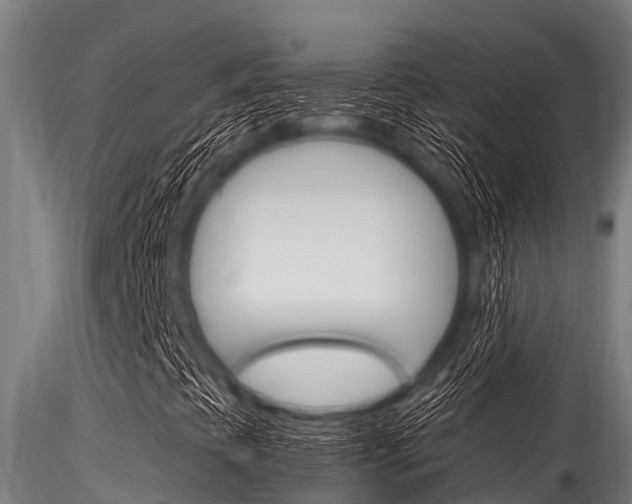 X0000116271393200911301005