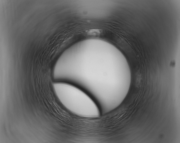 X0000116271394200911301005