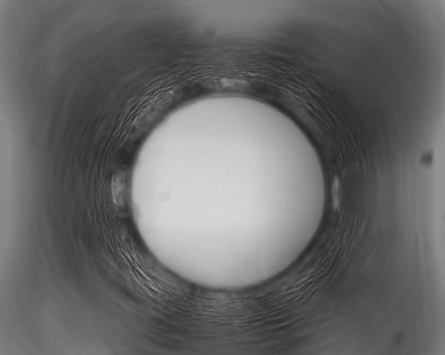 X0000116271395200911301005