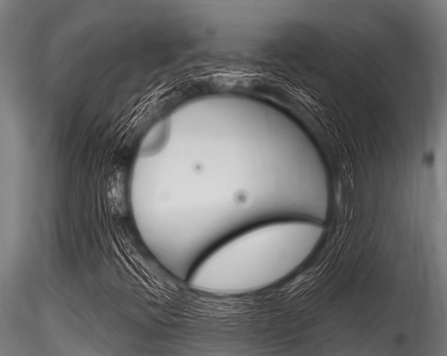 X0000116271396200911301005