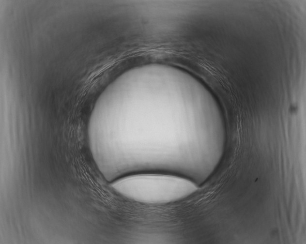 X0000116271398200911301005