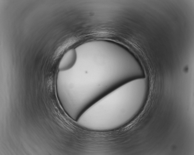 X0000116271402200911301005