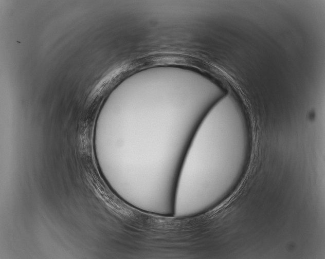 X0000116271403200911301005