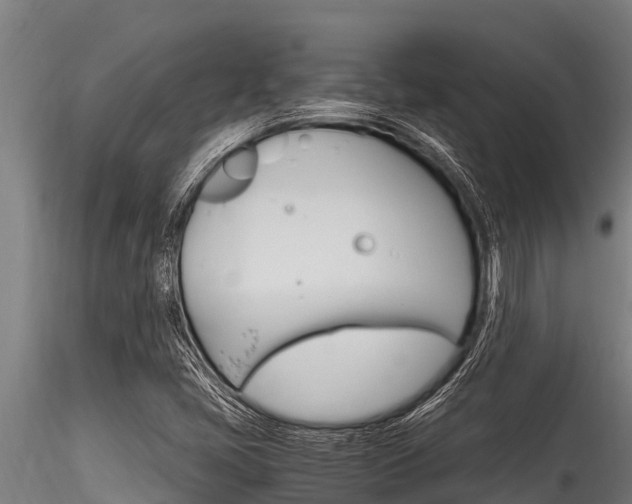 X0000116271405200911301005