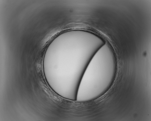 X0000116271407200911301005