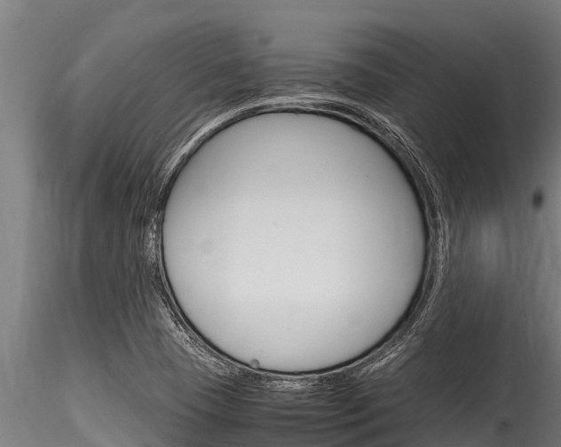 X0000116271409200911301005