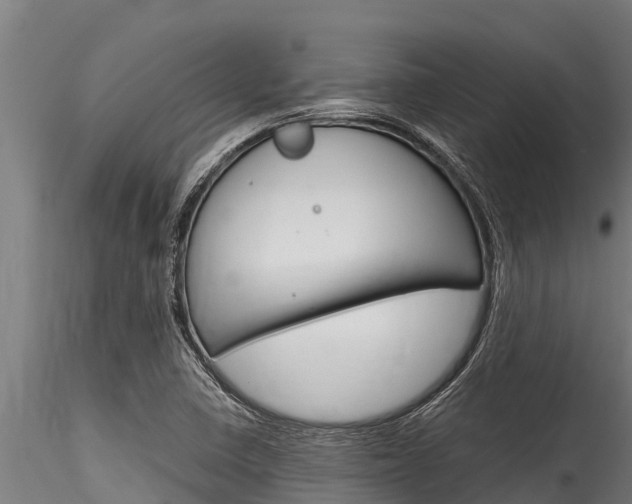 X0000116271410200911301006