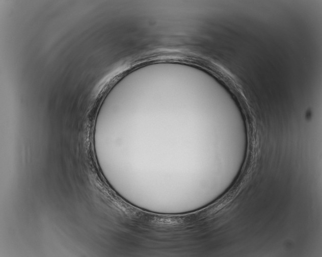X0000116271411200911301006