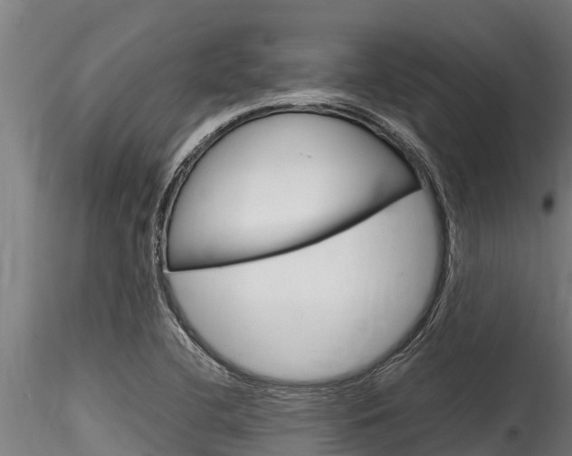 X0000116271412200911301006