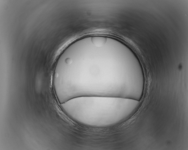 X0000116271413200911301006