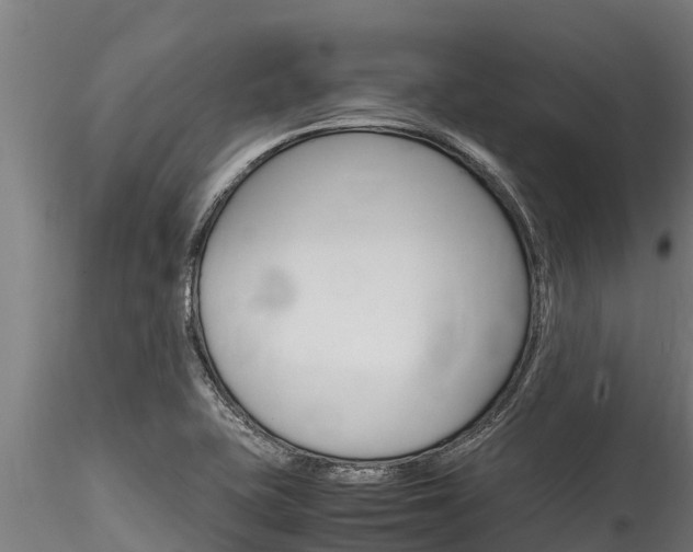 X0000116271415200911301006