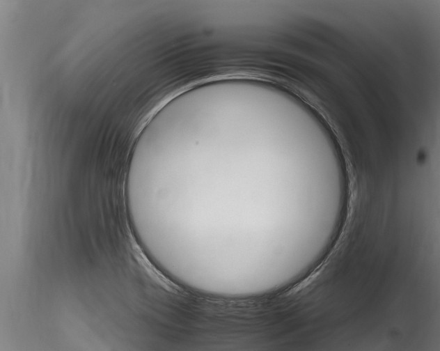 X0000116271417200911301006