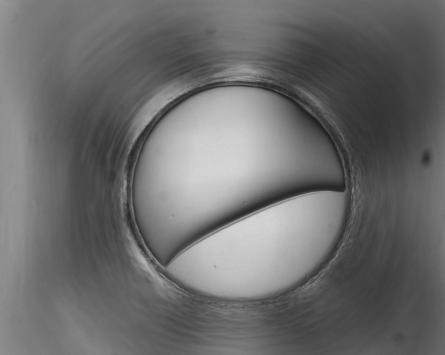 X0000116271418200911301006