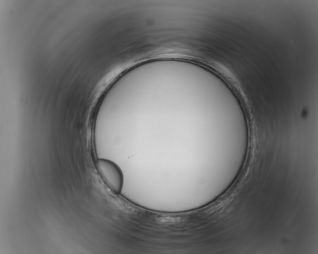 X0000116271419200911301006