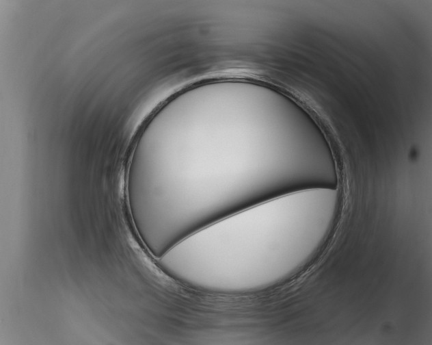 X0000116271420200911301006