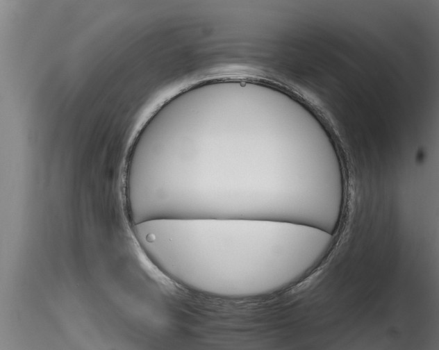X0000116271421200911301006