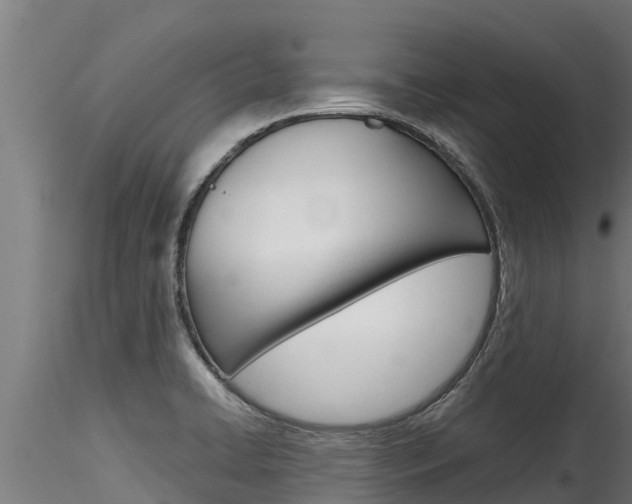 X0000116271422200911301006