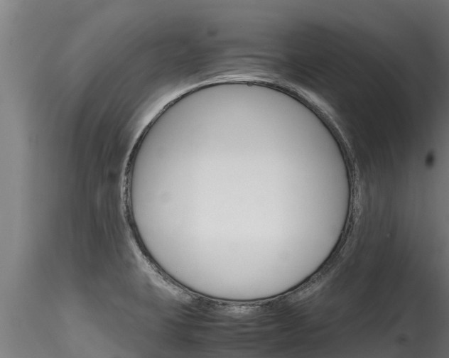 X0000116271423200911301006