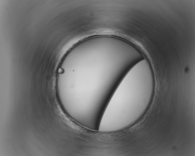 X0000116271424200911301006