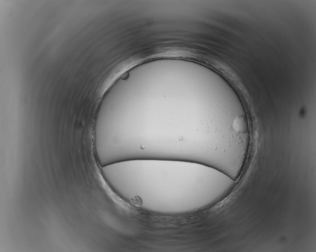 X0000116271425200911301006