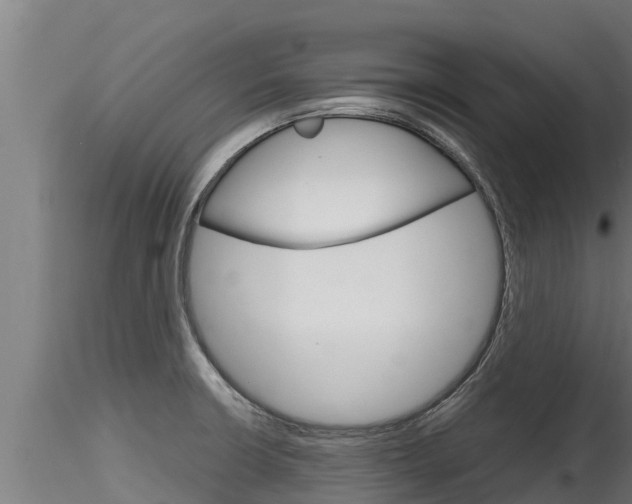 X0000116271426200911301006
