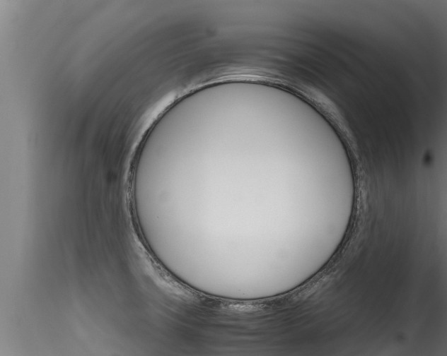 X0000116271427200911301006