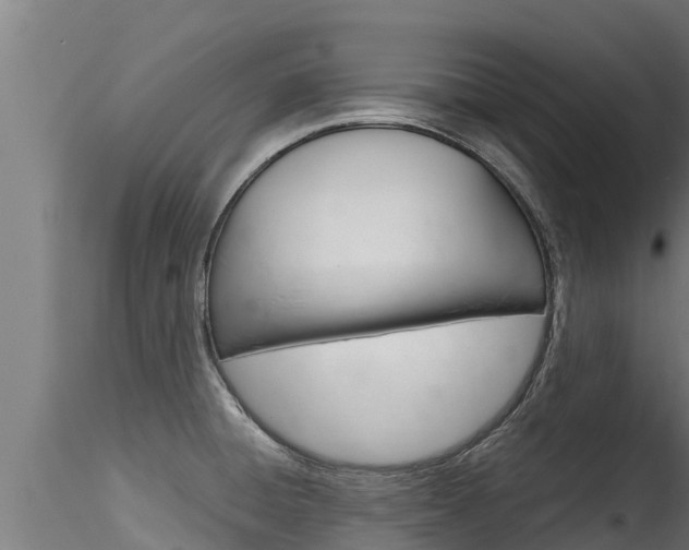 X0000116271428200911301006