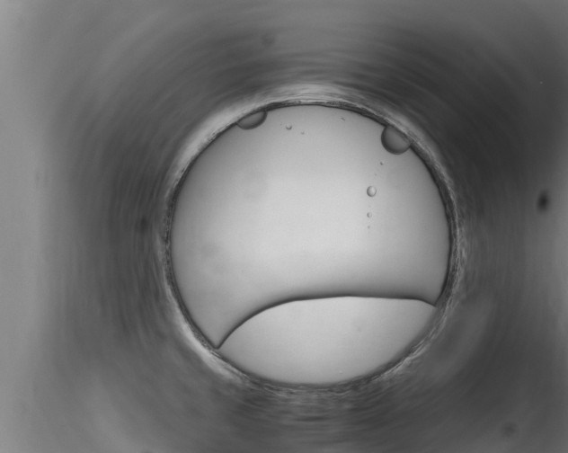 X0000116271429200911301006