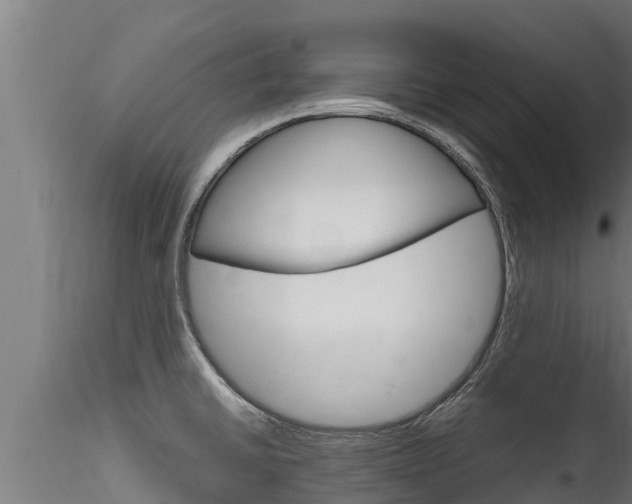 X0000116271430200911301006
