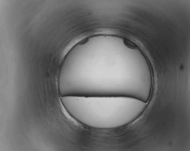 X0000116271433200911301006