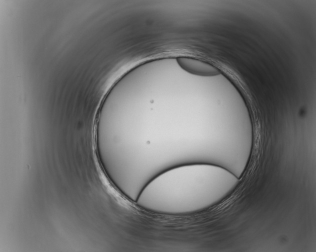 X0000116271439200911301006