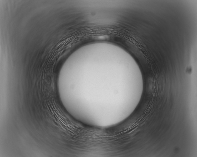 X0000116271442200911301005