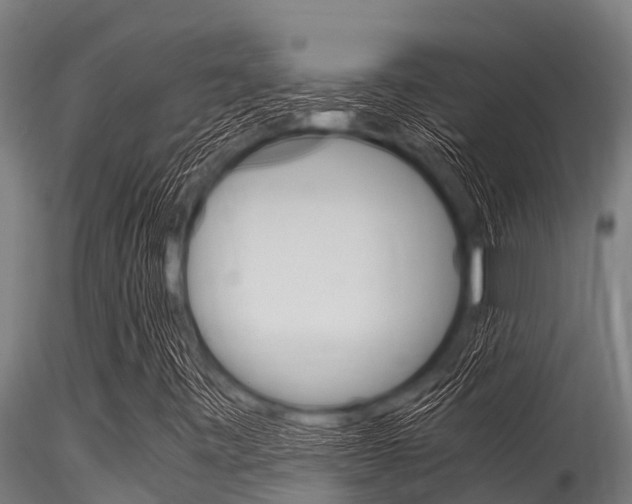 X0000116271443200911301005