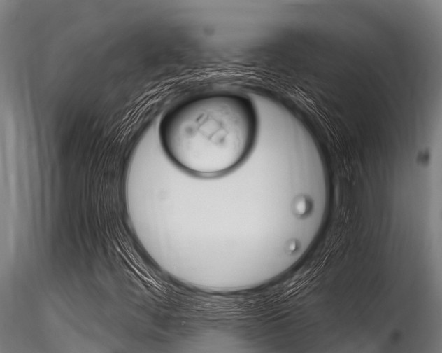 X0000116271444200911301005