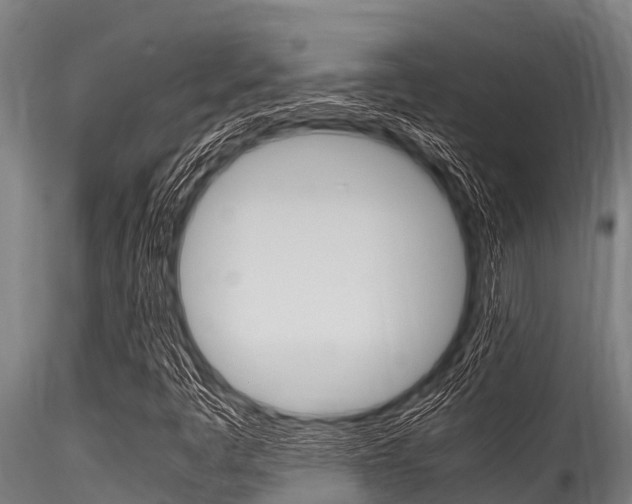 X0000116271445200911301005