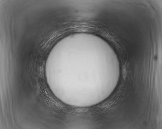 X0000116271446200911301005