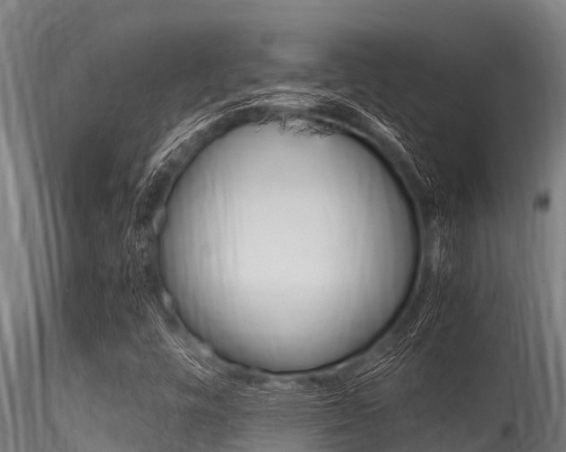 X0000116271448200911301005