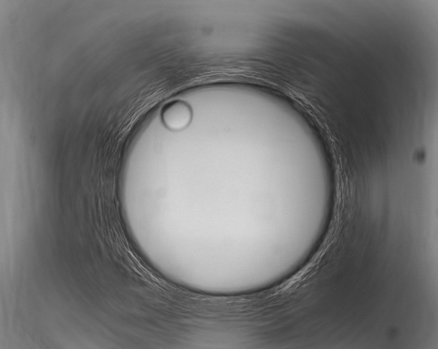 X0000116271449200911301005