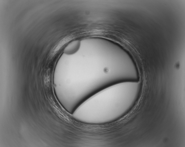 X0000116271450200911301005