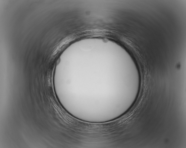 X0000116271451200911301005
