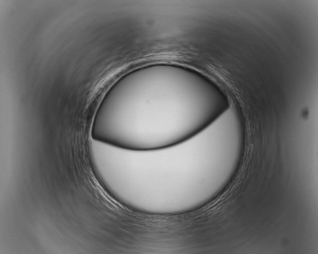 X0000116271452200911301005