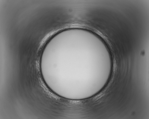 X0000116271454200911301005