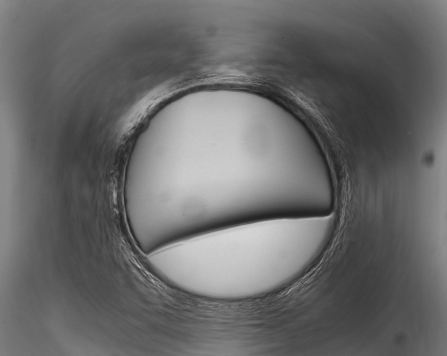 X0000116271455200911301005