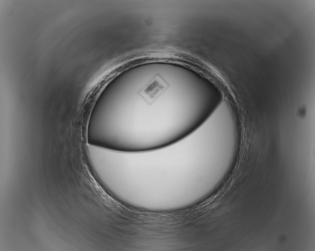 X0000116271456200911301005