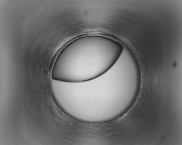 X0000116271457200911301005