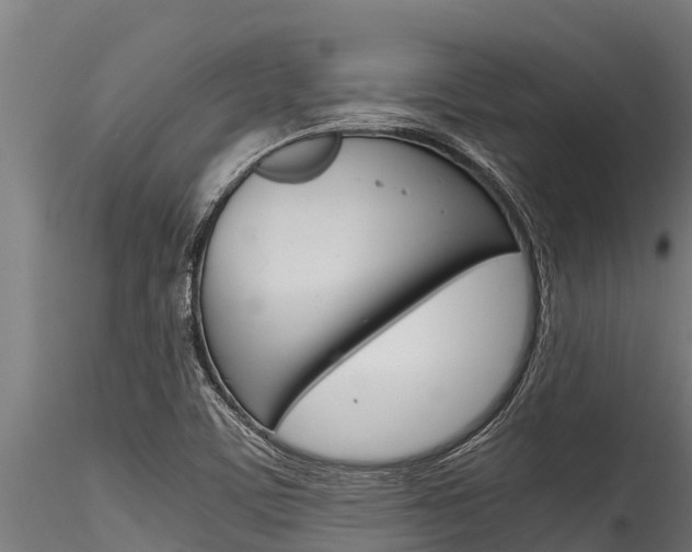 X0000116271459200911301005