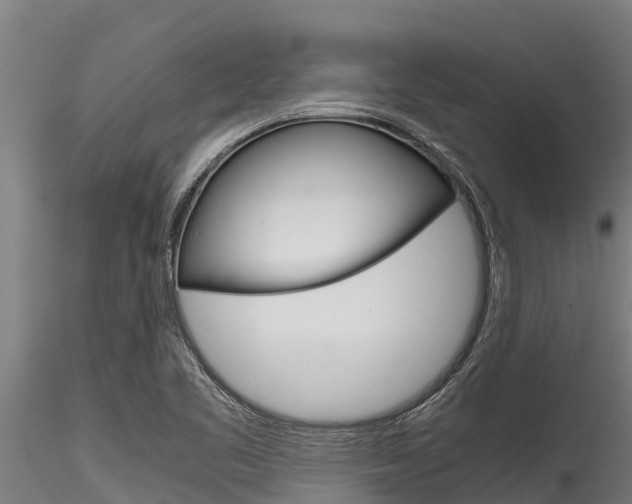 X0000116271461200911301005