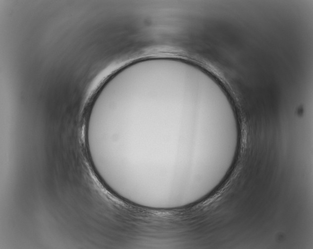 X0000116271462200911301005